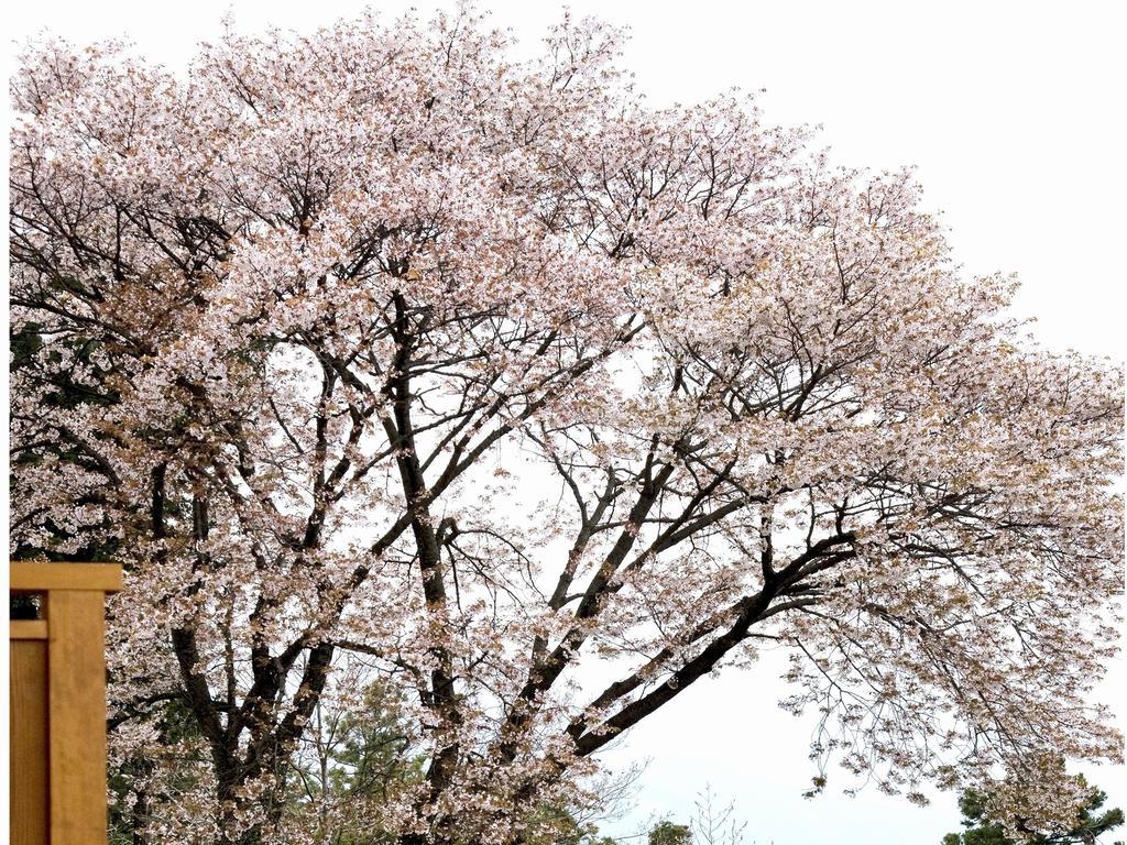 Hakone Kyuan Exterior foto